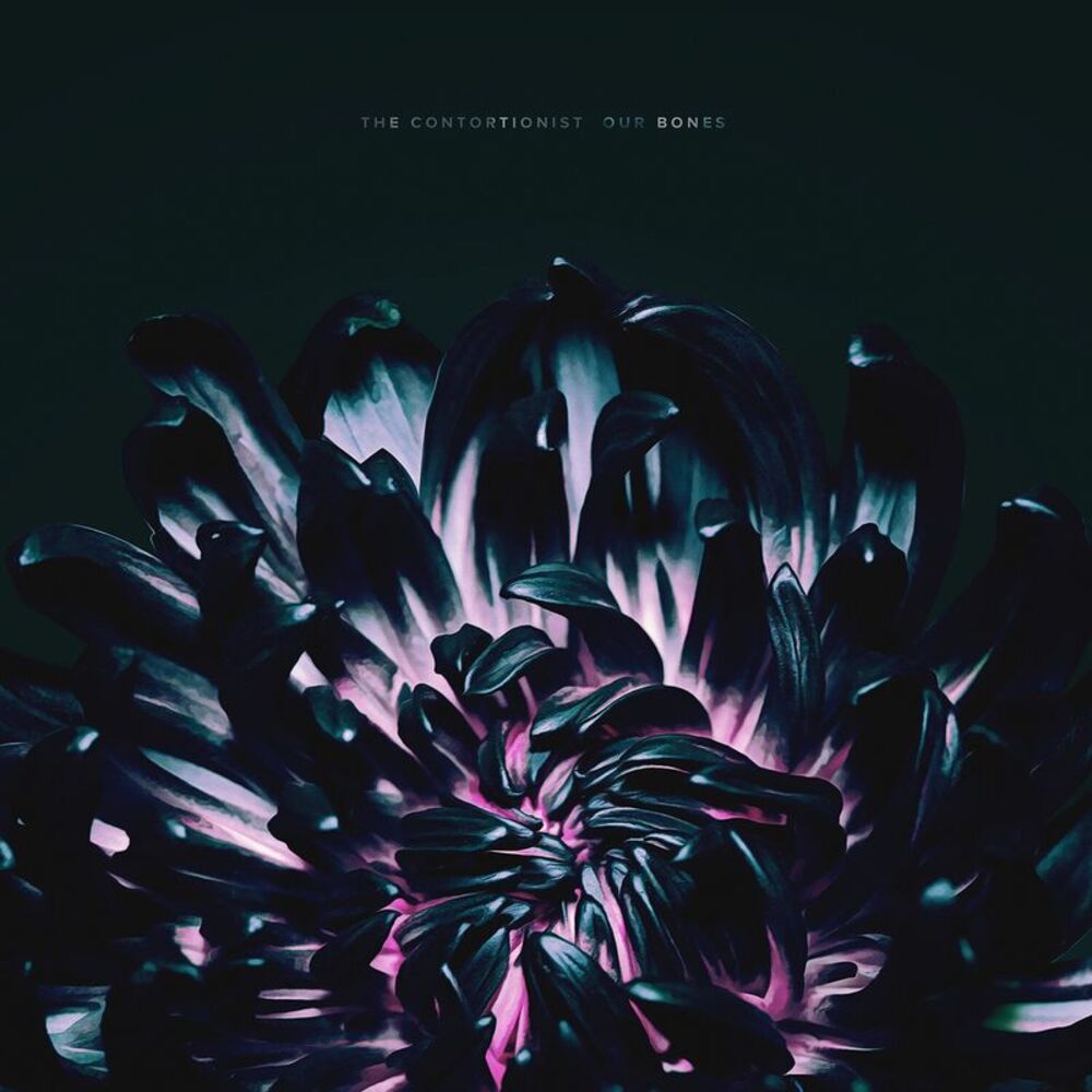 The Contortionist - Our Bones  CD